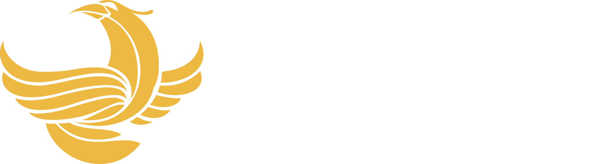 Phoenix Center