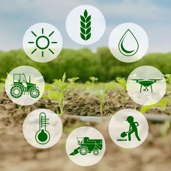 Fact Sheet: Agricultural Pesticides… Misuse and Impact on Public Health in the Gaza Strip